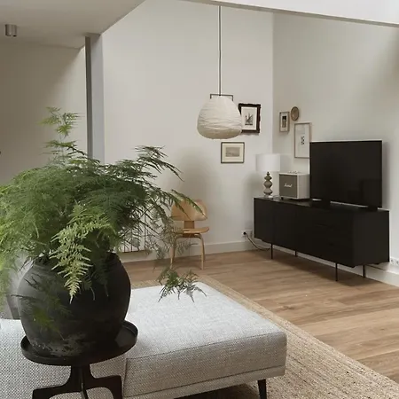 Luxury Spacious Private Loft, Between City&beach