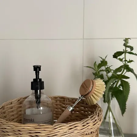 Luxury Spacious Private Loft, Between & 헴스테데