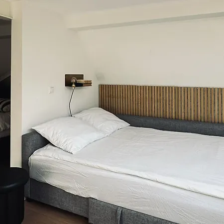 펜션 Luxury Spacious Private Loft, Between & 헴스테데