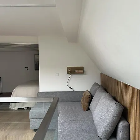 펜션 Luxury Spacious Private Loft, Between & 헴스테데