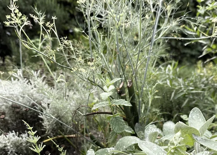 Luxury Spacious Private Loft, Between & * היימסטיידה