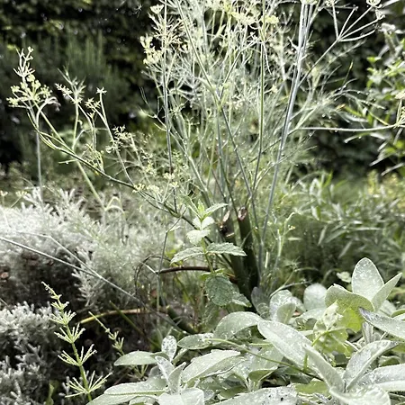 Luxury Spacious Private Loft, Between City&beach * Heemstede