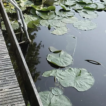 Luxury Spacious Private Loft, Between City&beach *