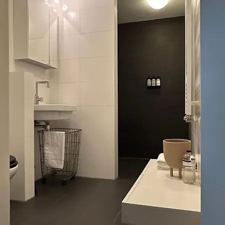 Luxury Spacious Private Loft, Between City&beach *